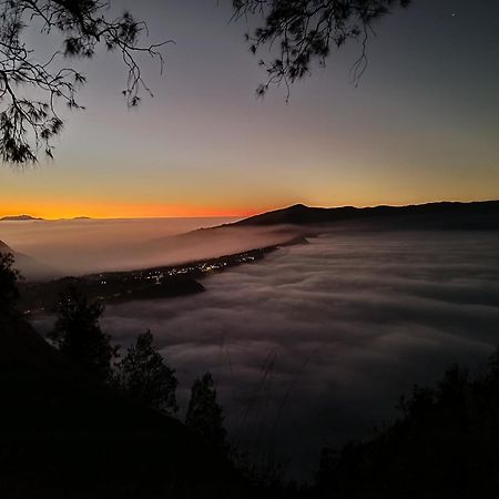 Uciek Tengger Bromo Ngadisari Extérieur photo
